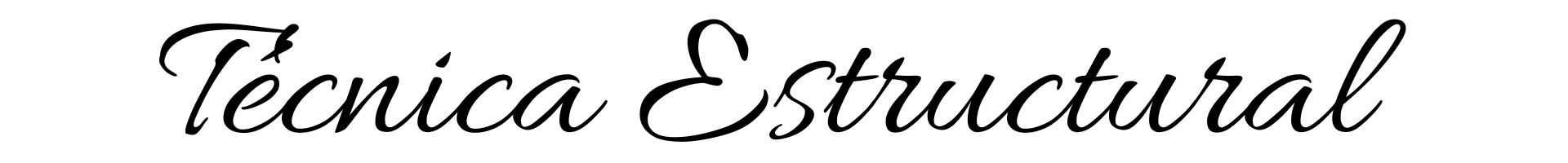 tecnica estructural eva rubiano escritora